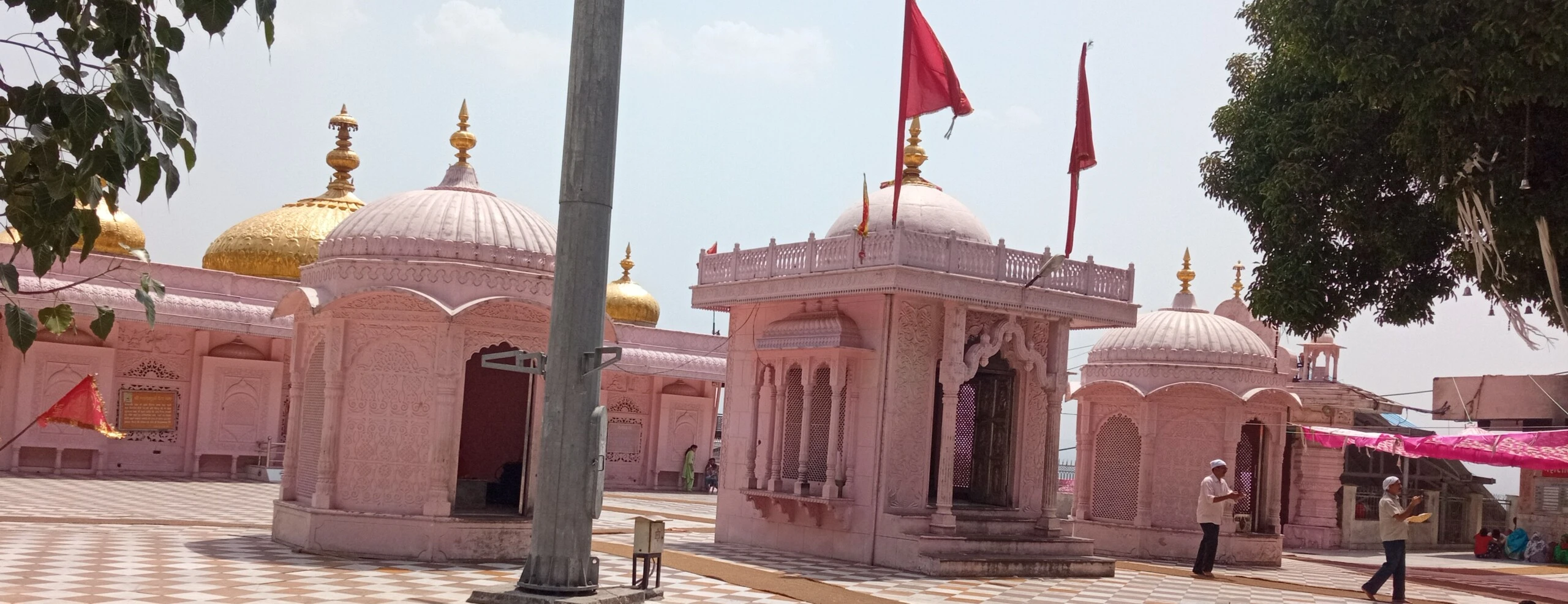 Palampur to Jwalamukhi Taxi Service Taxi for Jwalamukhi Temple